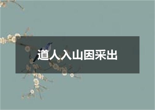 道人入山因采出