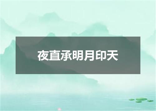夜直承明月印天