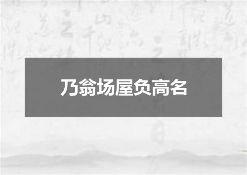 乃翁场屋负高名