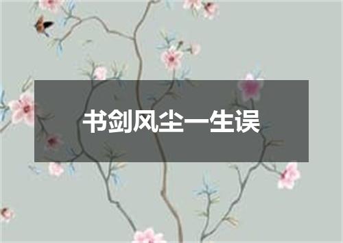 书剑风尘一生误