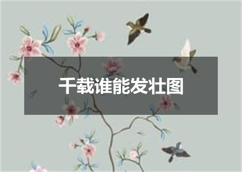 千载谁能发壮图