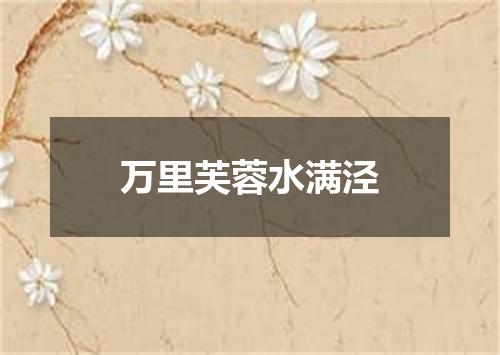 万里芙蓉水满泾