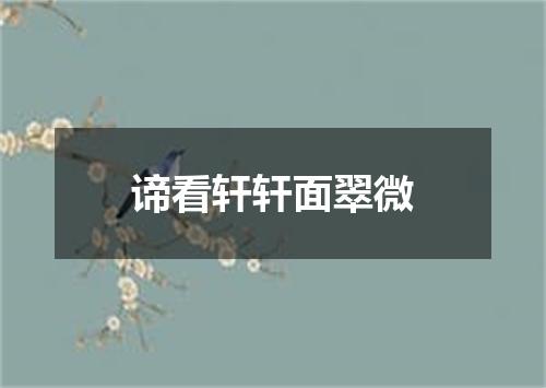 谛看轩轩面翠微