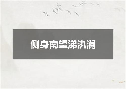 侧身南望涕汍澜