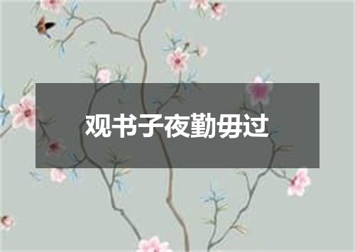 观书子夜勤毋过
