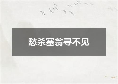 愁杀塞翁寻不见