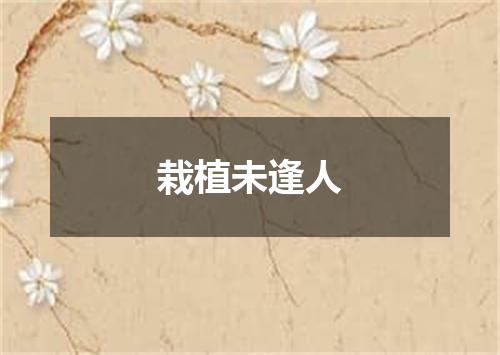 栽植未逢人