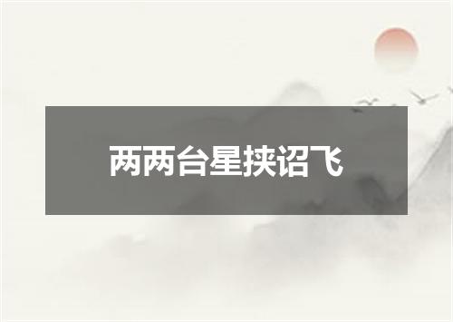两两台星挟诏飞