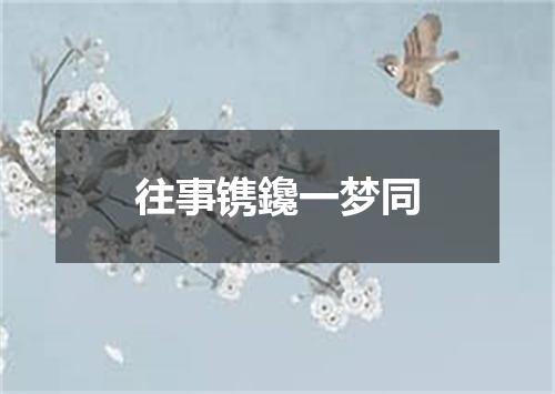 往事镌鑱一梦同