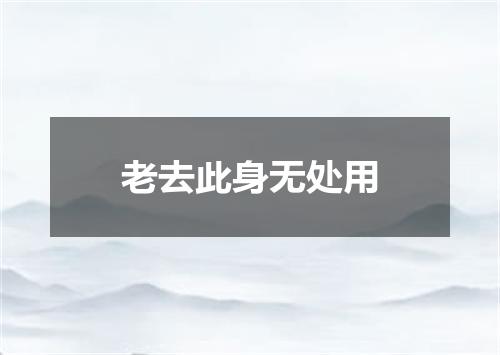 老去此身无处用