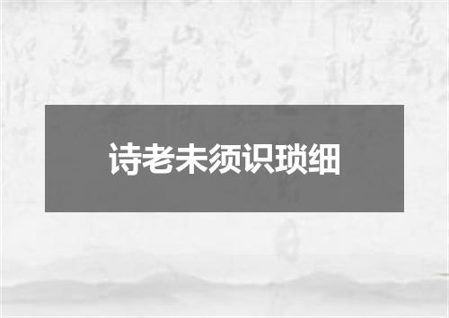 诗老未须识琐细