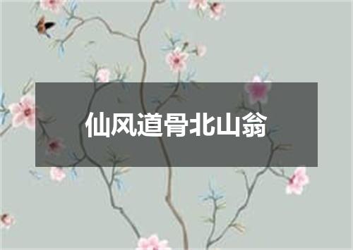 仙风道骨北山翁