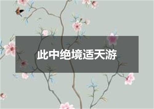 此中绝境适天游