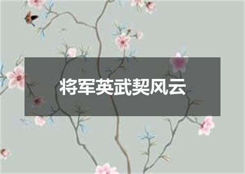 将军英武契风云