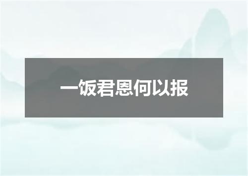 一饭君恩何以报