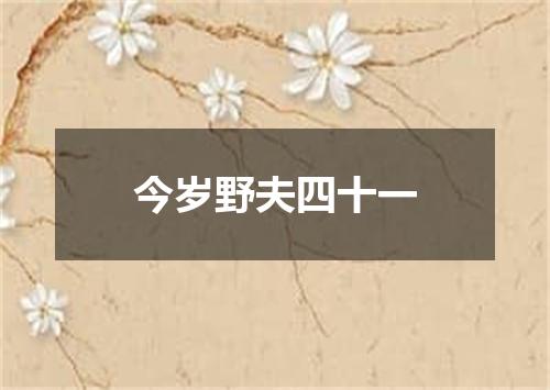 今岁野夫四十一