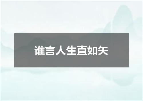 谁言人生直如矢