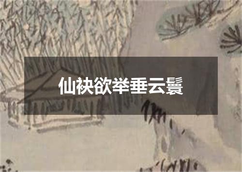 仙袂欲举垂云鬟