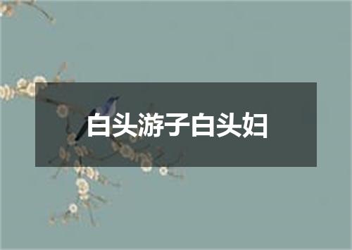白头游子白头妇