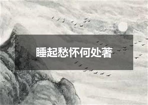睡起愁怀何处著