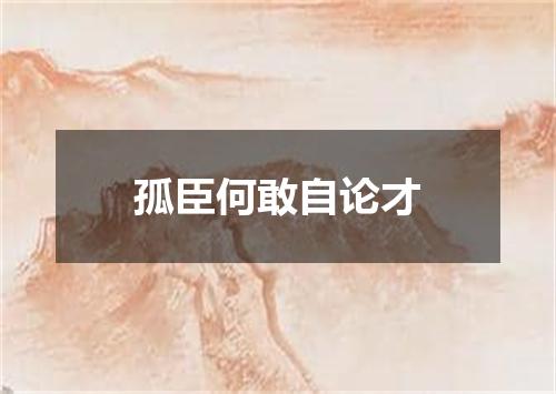 孤臣何敢自论才