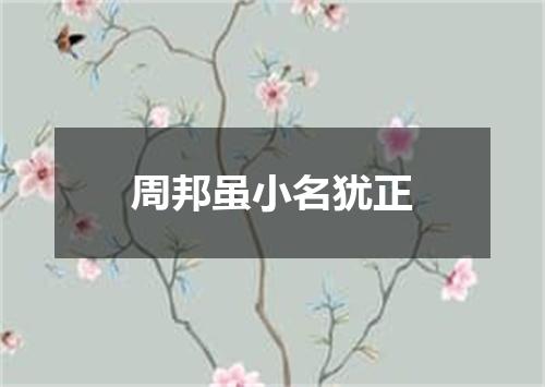 周邦虽小名犹正