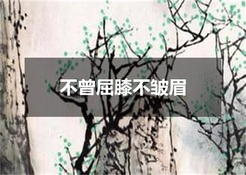 不曾屈膝不皱眉