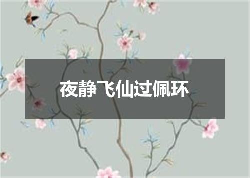 夜静飞仙过佩环