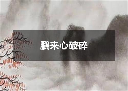 鵩来心破碎