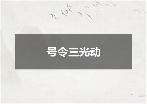 号令三光动