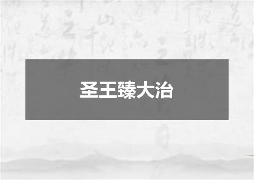 圣王臻大治