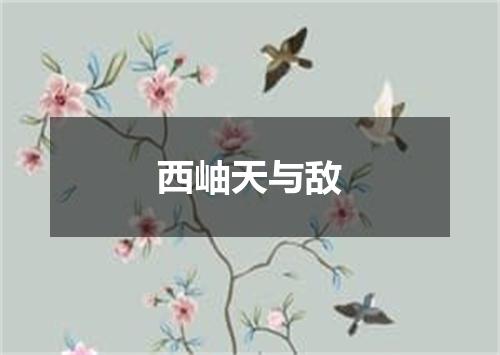 西岫天与敌