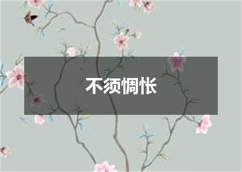 不须惆怅