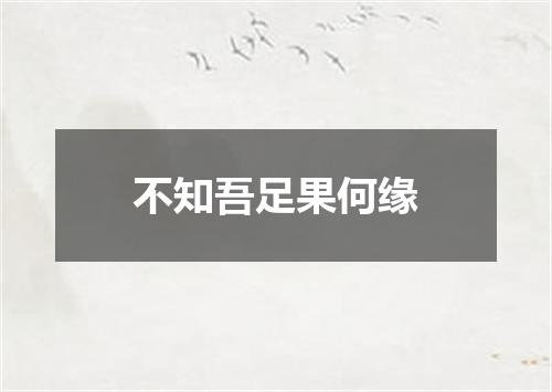 不知吾足果何缘