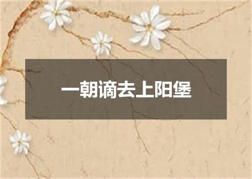 一朝谪去上阳堡