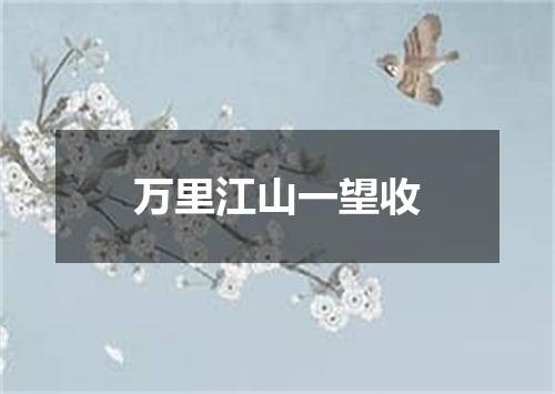 万里江山一望收