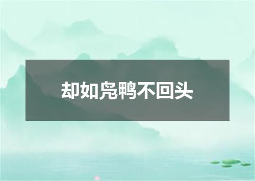 却如凫鸭不回头