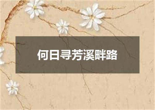 何日寻芳溪畔路