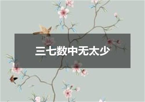 三七数中无太少