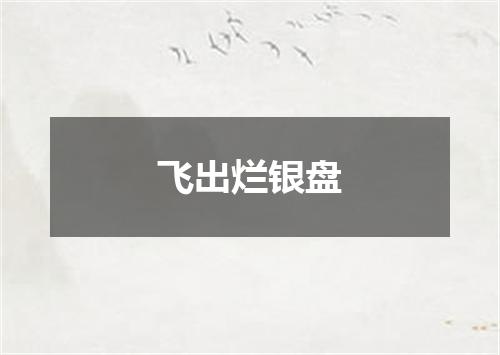 飞出烂银盘