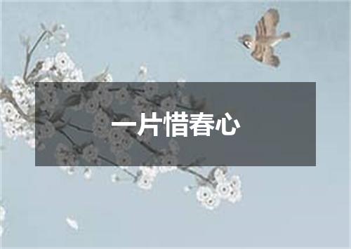 一片惜春心