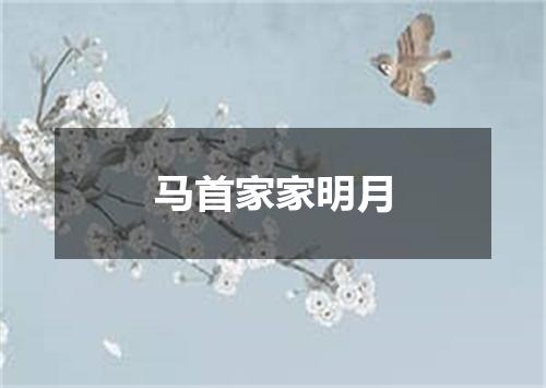 马首家家明月