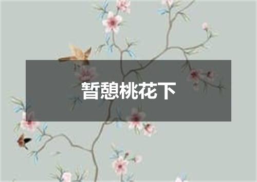 暂憩桃花下