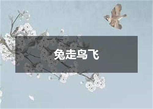 兔走鸟飞