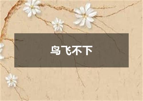 鸟飞不下