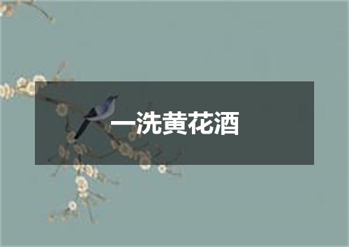 一洗黄花酒