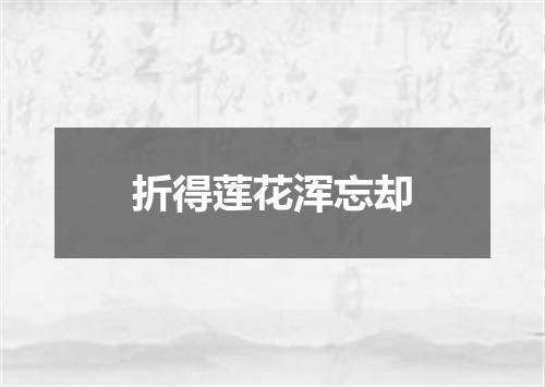 折得莲花浑忘却