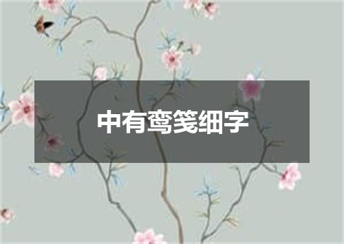 中有鸾笺细字