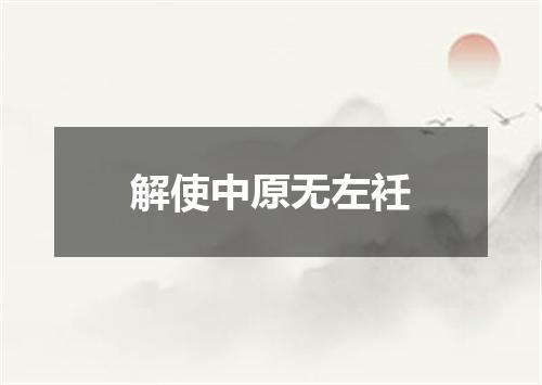 解使中原无左衽