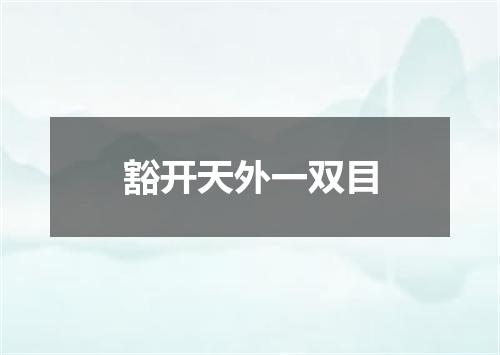 豁开天外一双目